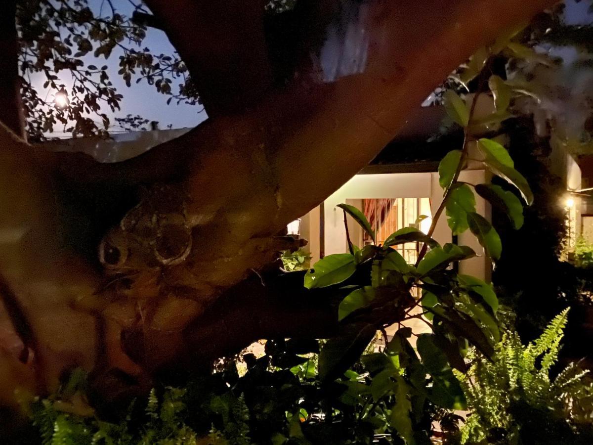 La Bella B&B Under The Fig Tree Бела-Бела Экстерьер фото