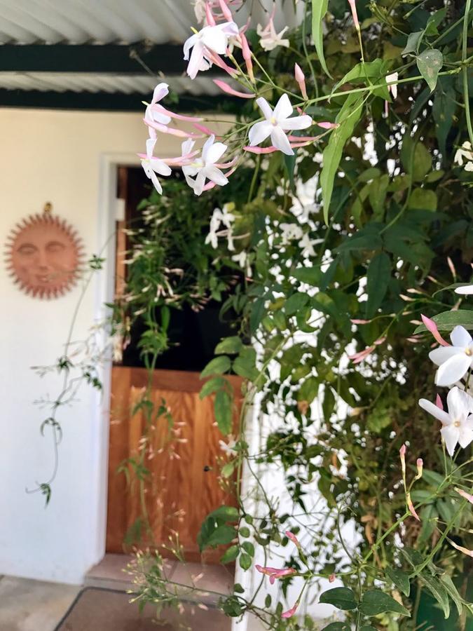 La Bella B&B Under The Fig Tree Бела-Бела Экстерьер фото